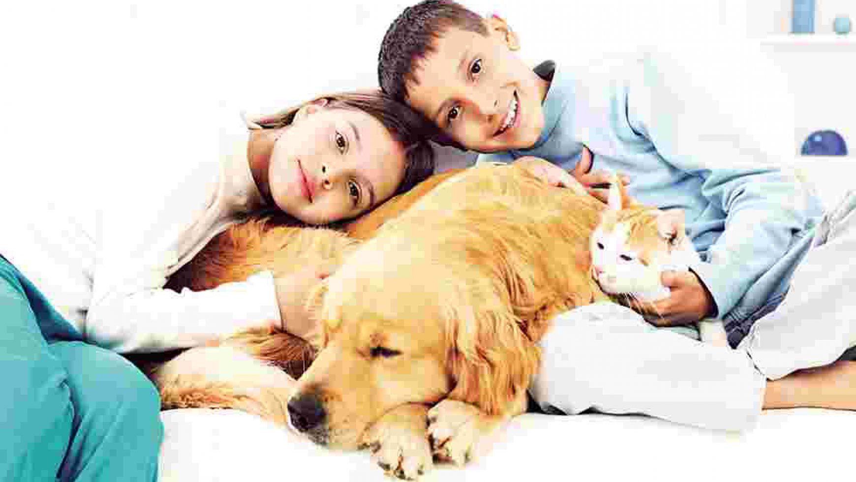 Can a Pet Get You Sick?